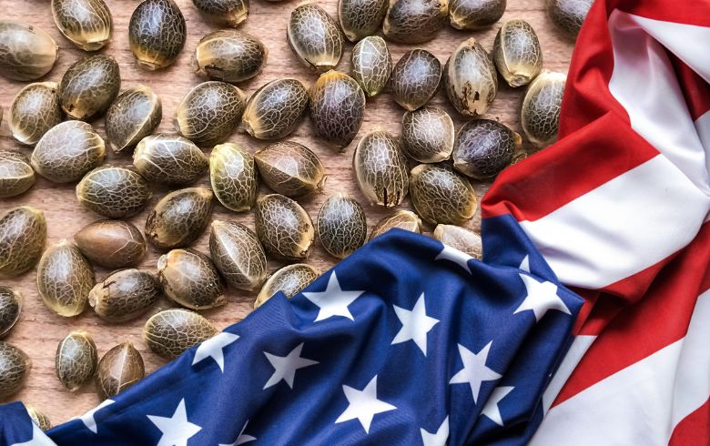 ¿Cuáles son los mejores bancos de semillas americanos?