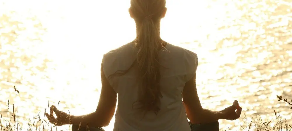 La psilocybine et la méditation de pleine conscience