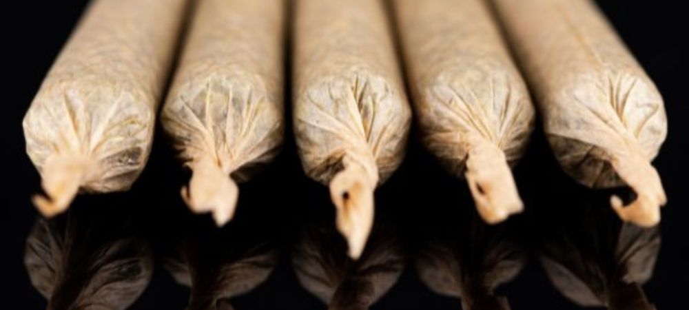 joints de cannabis