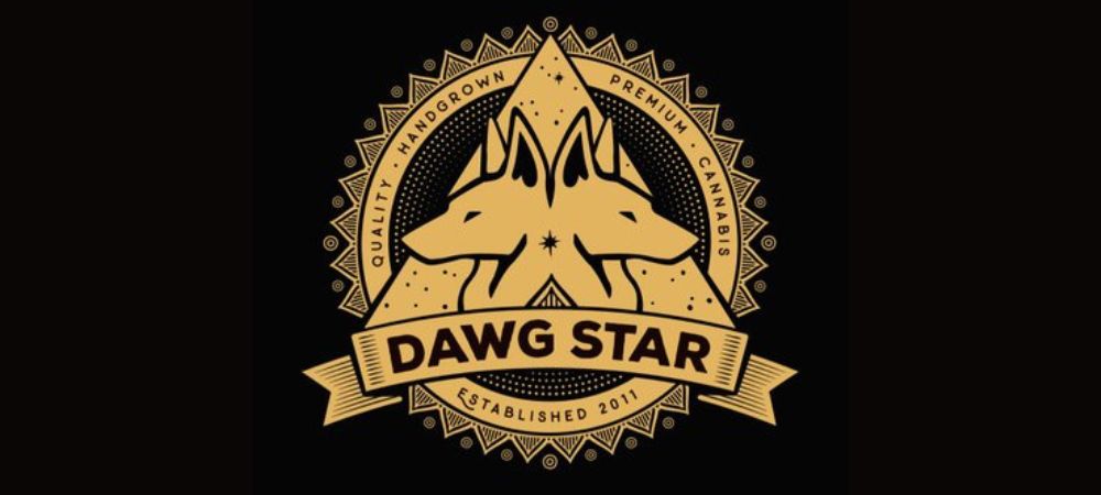 Los mejores bancos de semillas americanos - Dawg Start
