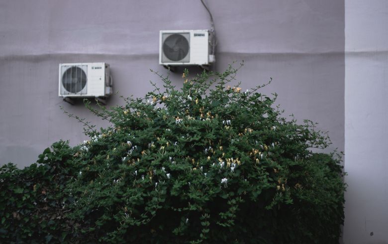 Noticias Cannábicas