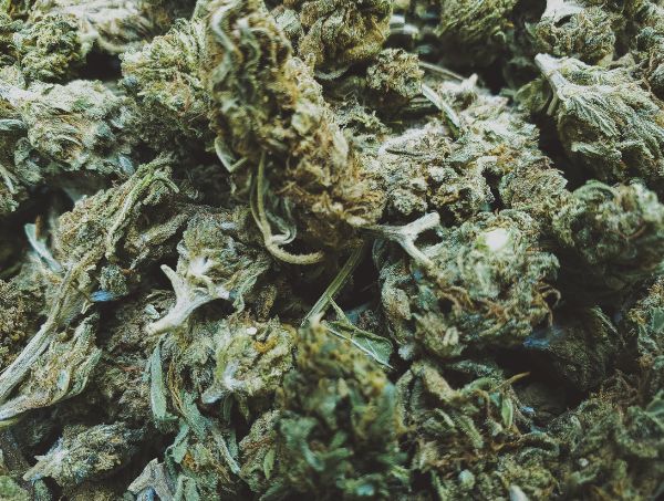 Tailandia cannabis legalidad