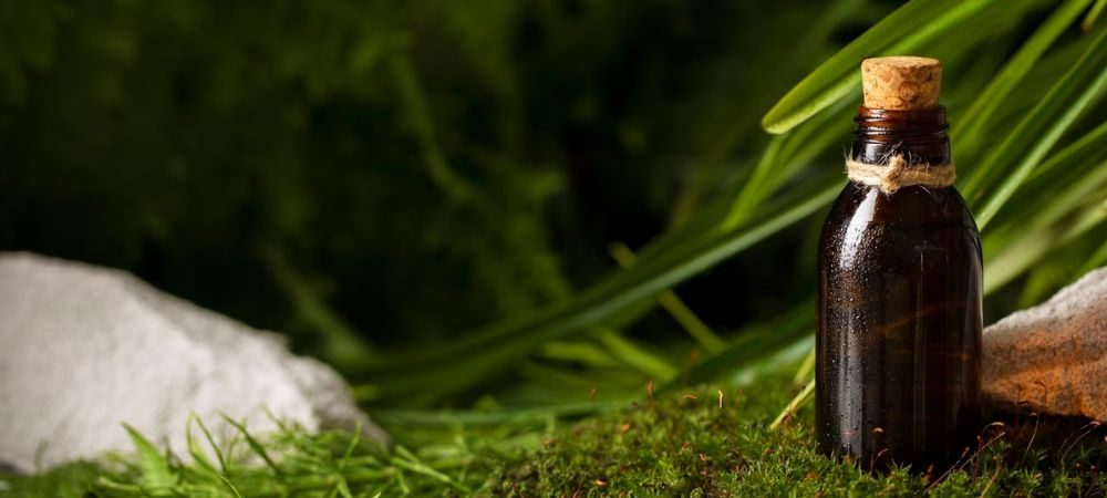 Cannabis sativa, effetti e proprietà