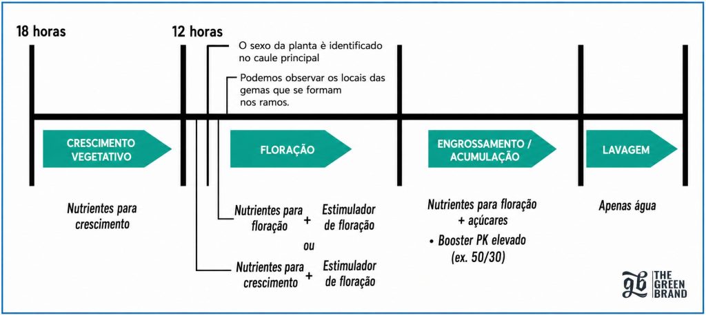 Tabela de fertilização GB