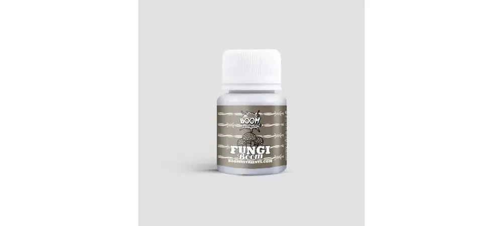 Fungi boom 