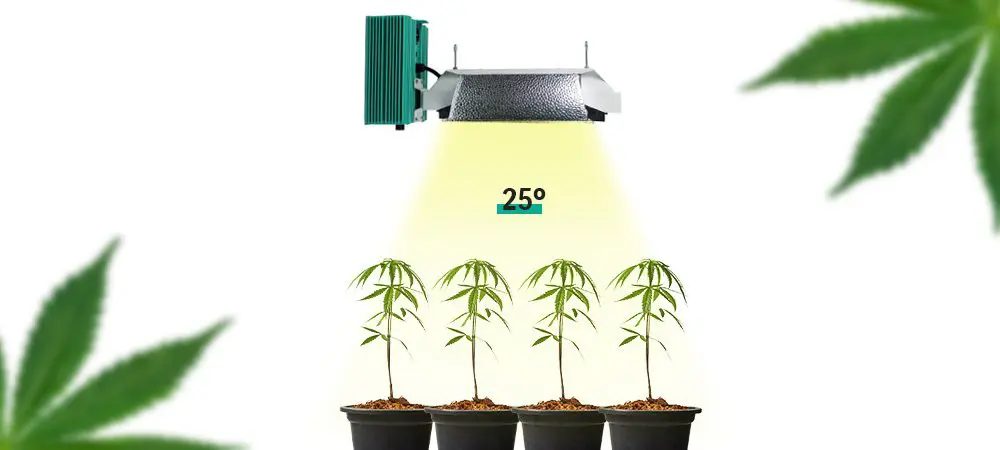 Qual’è l’altezza ideale delle lampade indoor nella coltivazione di cannabis