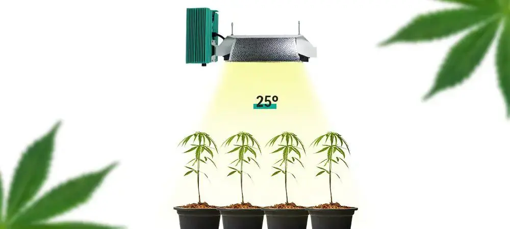 Qual’è l’altezza ideale delle lampade indoor nella coltivazione di cannabis