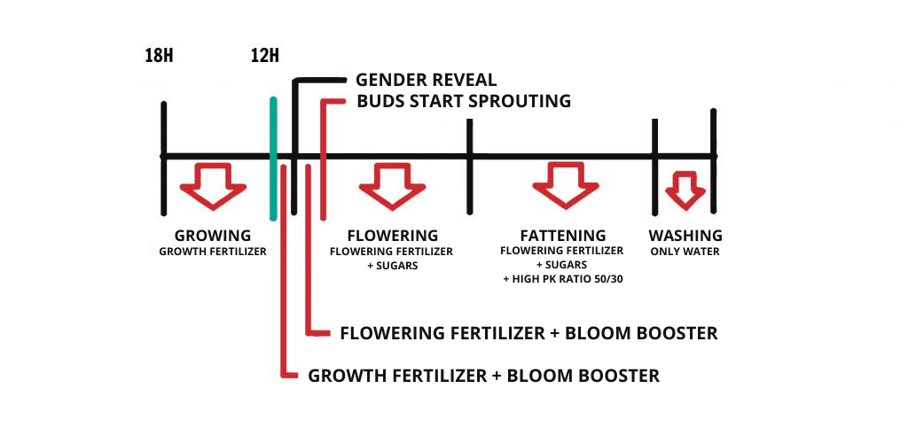 using a Feeding Chart