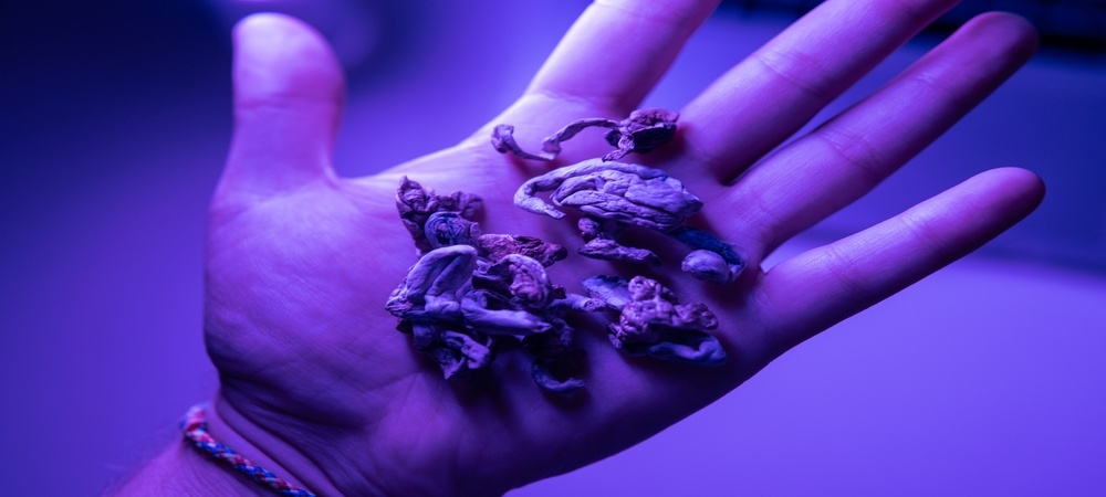psilocybine des champignons