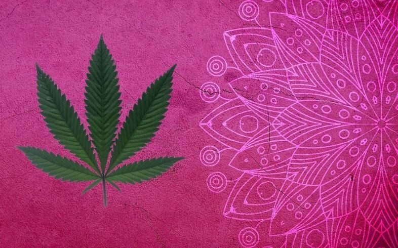 Esiste la marijuana allucinogena?