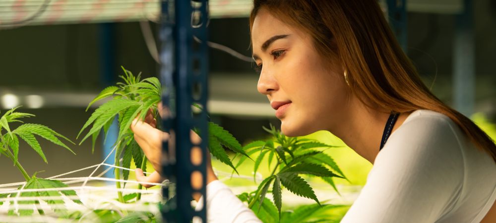 Una mujer con cultivo interior de marihuana