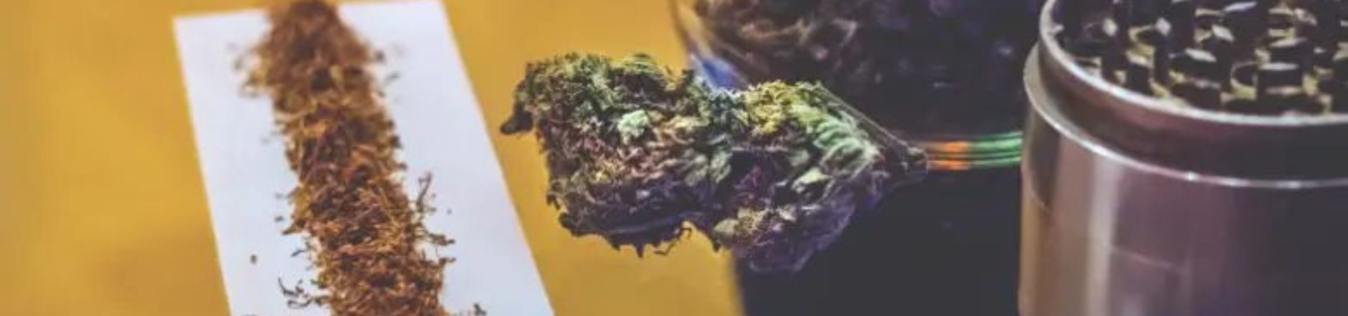 spliff portada larga dentro post