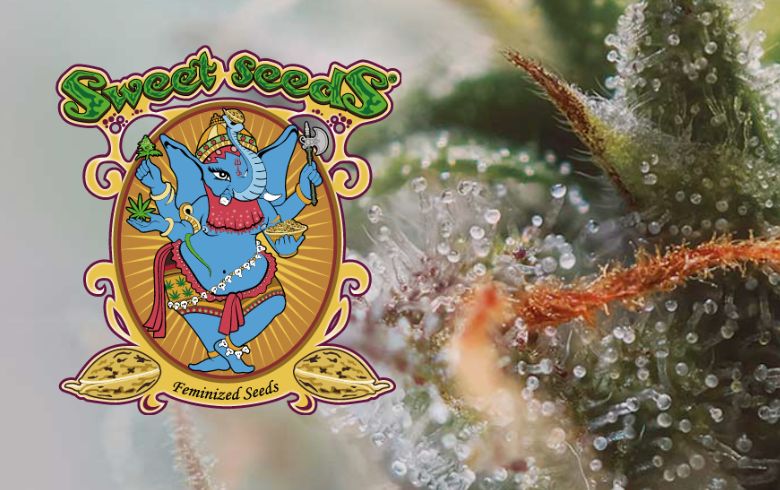 Noticias Cannábicas