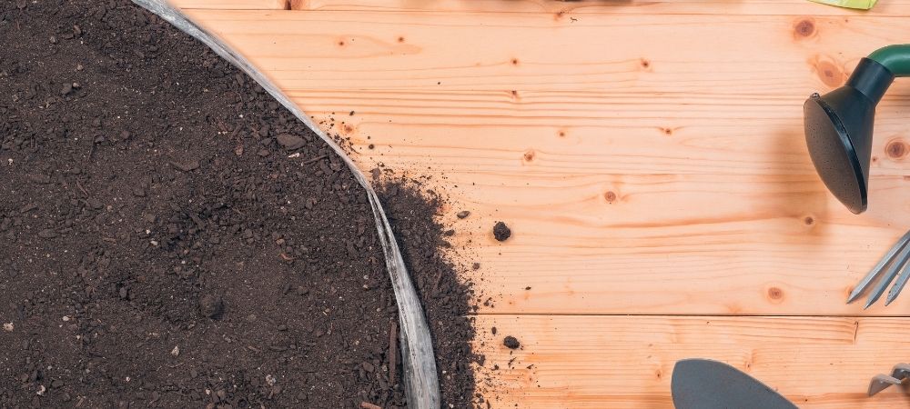 potting soil