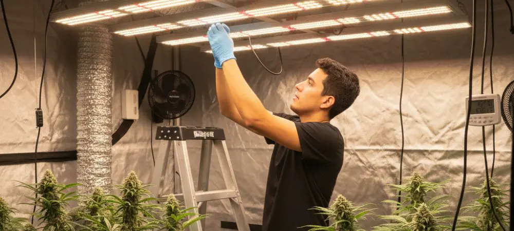 install LED grow lights