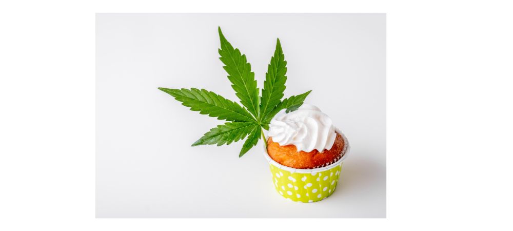  Ricette alla cannabis per tutti 
