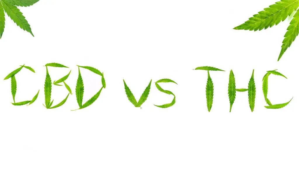 Che cosa sono il CBD e il THC ?