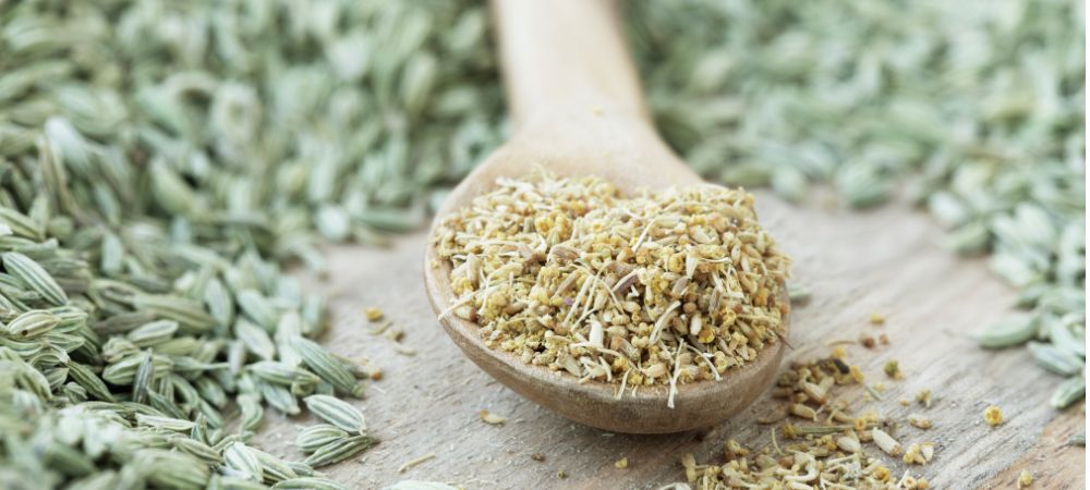 Différences entre le haschich et le pollen Pollen de cannabis