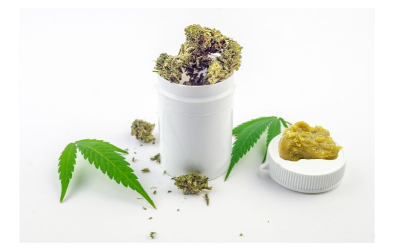 Noticias Cannábicas