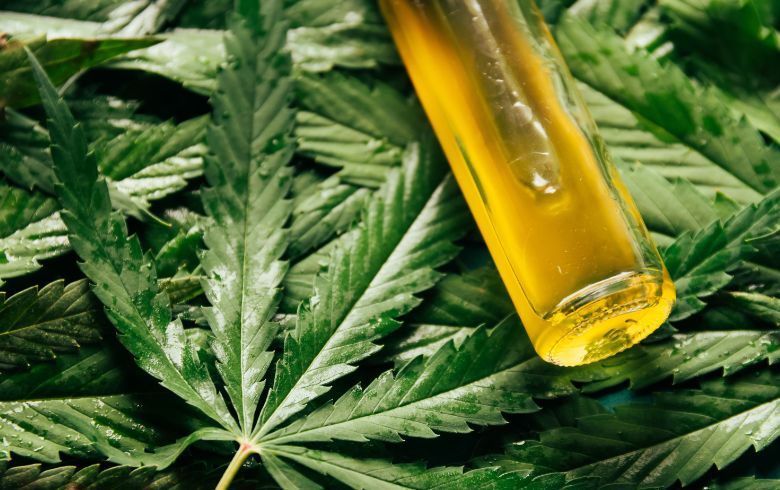 Noticias Cannábicas