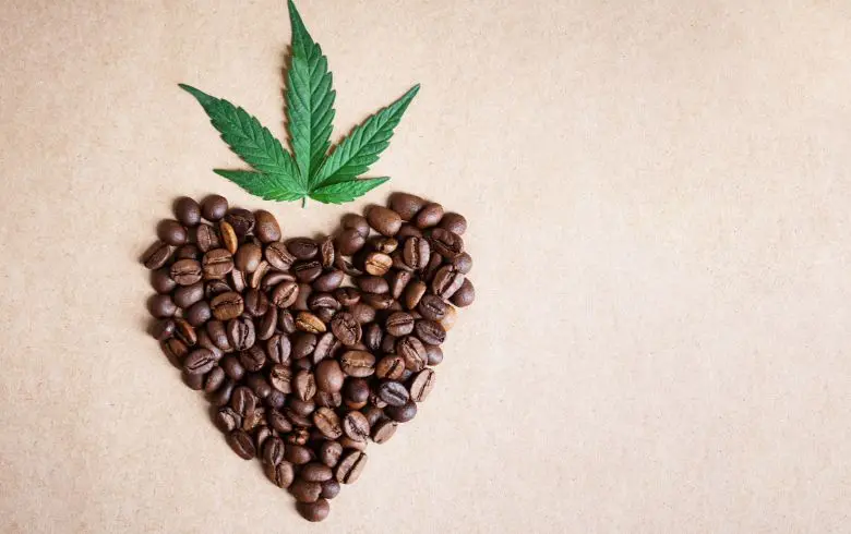 Recetas con marihuana
