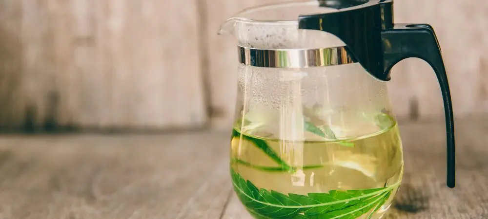 Come preparare una tisana alla marijuana? 