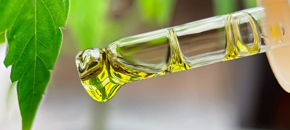Come preparare olio di CBD