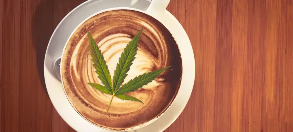 Cafe cannabis ricceta