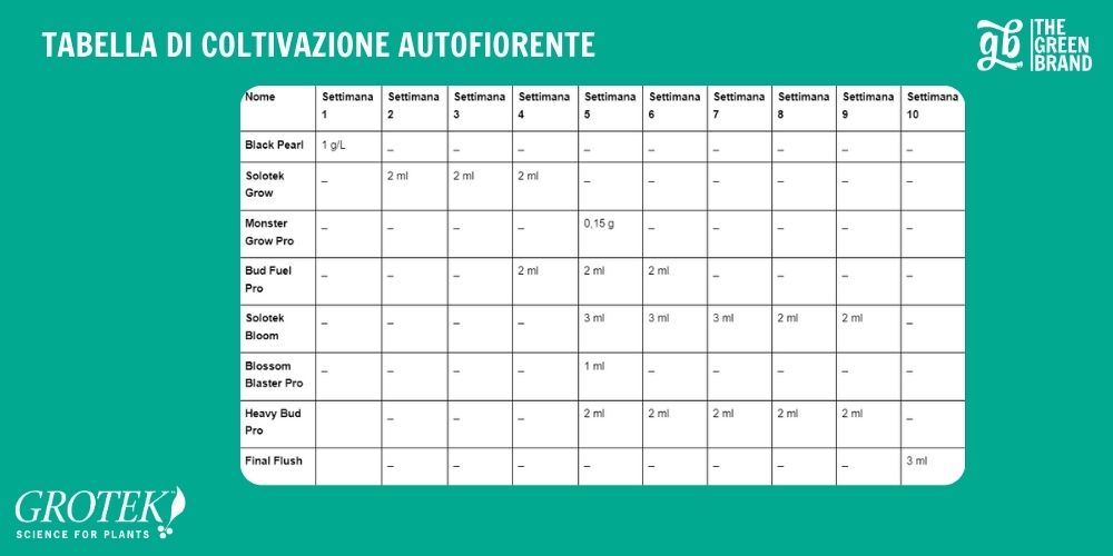 TABELLA DI COLTIVAZIONE AUTOFIORENTE