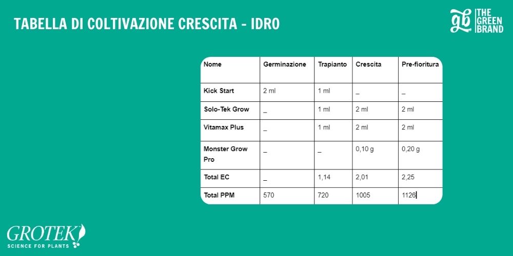 COLTIVAZIONE CRESCITA - IDRO