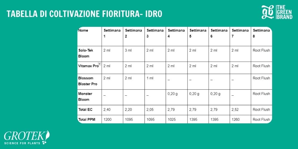 COLTIVAZIONE FIORITURA- IDRO