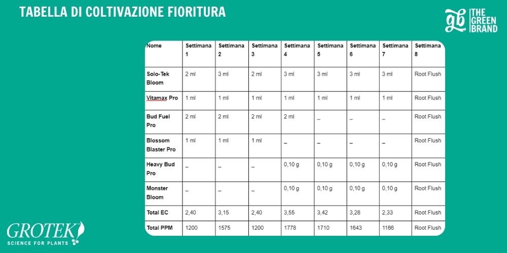 Tabella coltivazione Fioritura