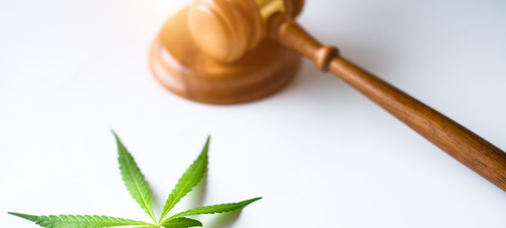 le cannabis est légal en Suisse