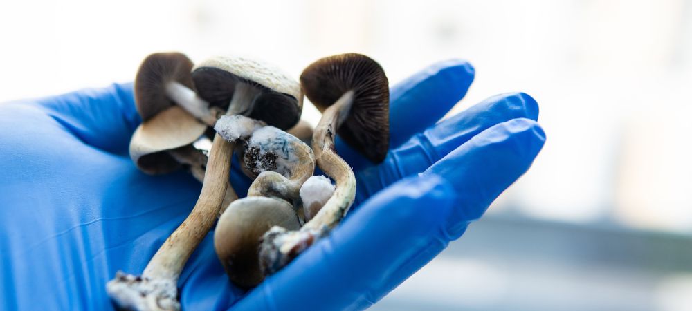 effects of psilocybin effects of psilocybin