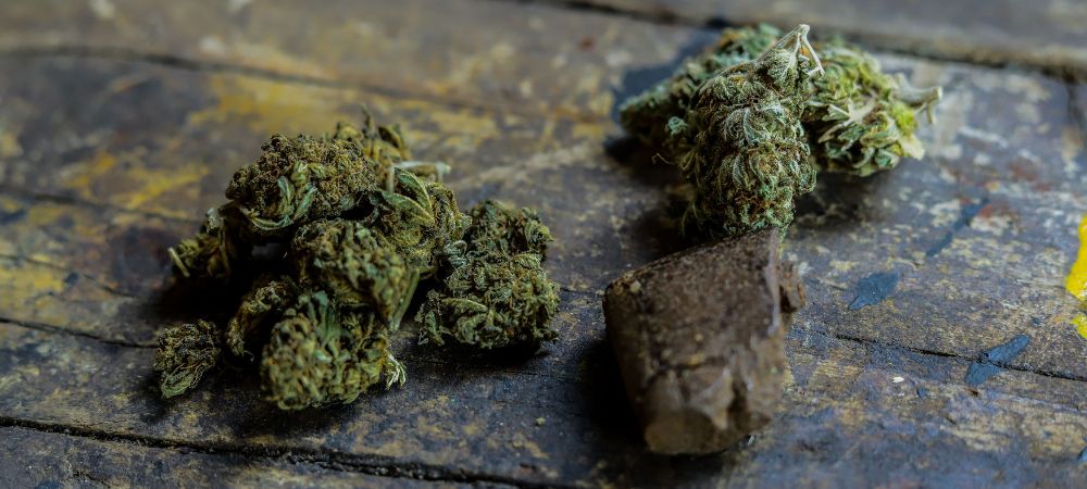 Marijuana e hashish