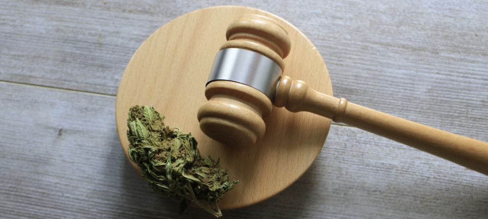 Legalità e regolamentazione di cannabis clubs