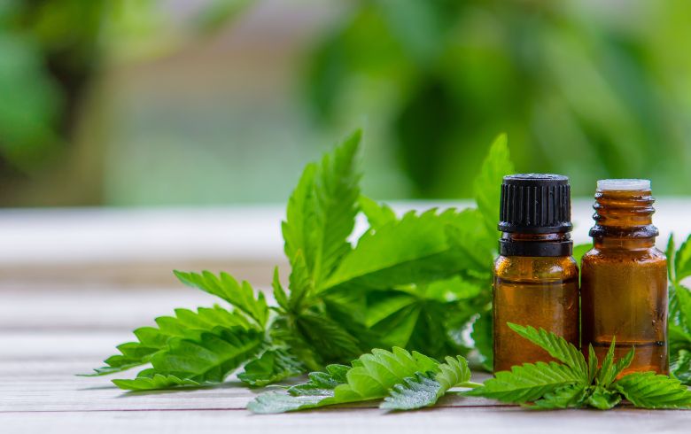 Noticias Cannábicas