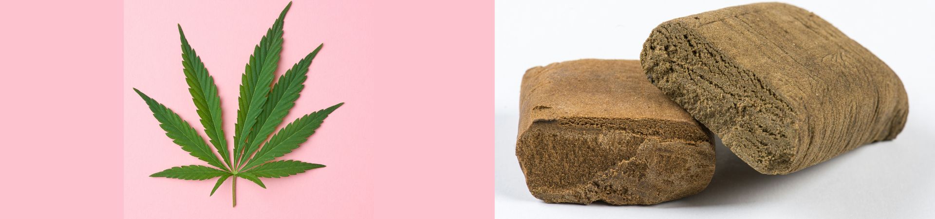 Différences entre shit et beuh : méthode d'obtention, aspect, effets.