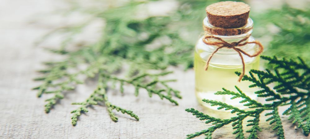 Carene e aromaterapia