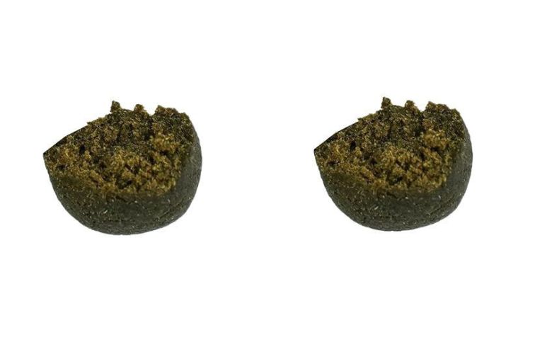 Noticias Cannábicas