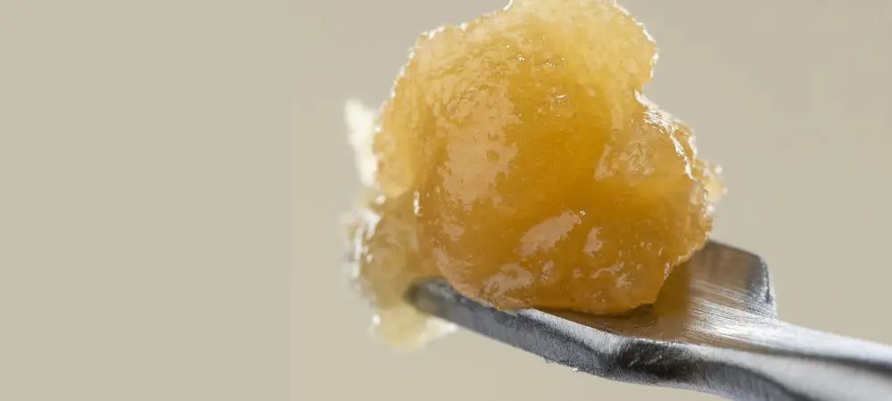 origin of hashish origin of hashish