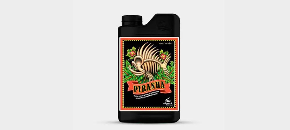 mycorhizes et trichoderma Piranha