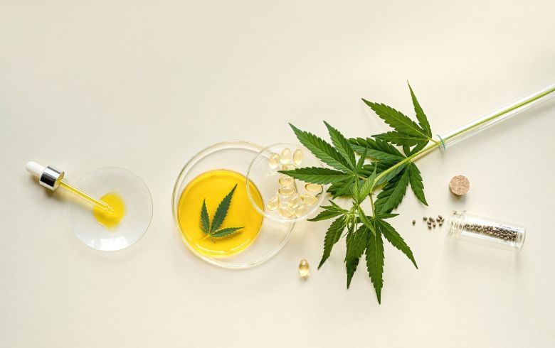 Como fazer óleo de CBD