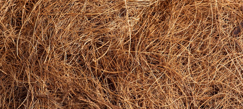 Fibra de coco Fibra de coco