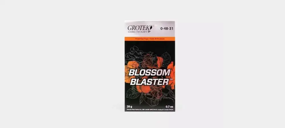 Blossom Blaster