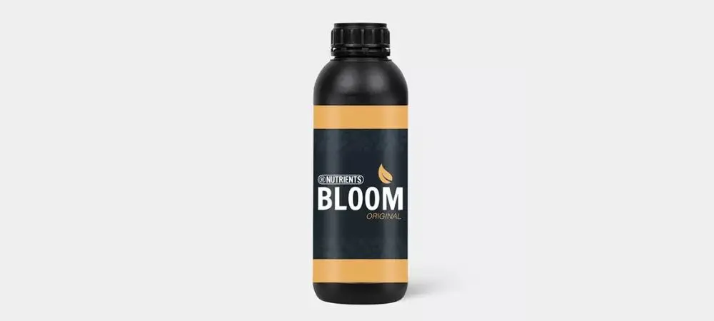 Bloom