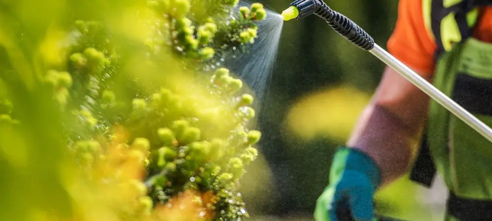 Fertilizantes NPK