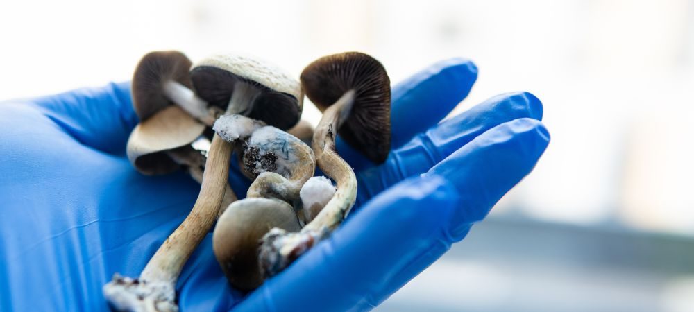 Psilocybin and Psilocin