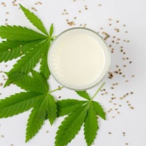 Leche cannábica 500