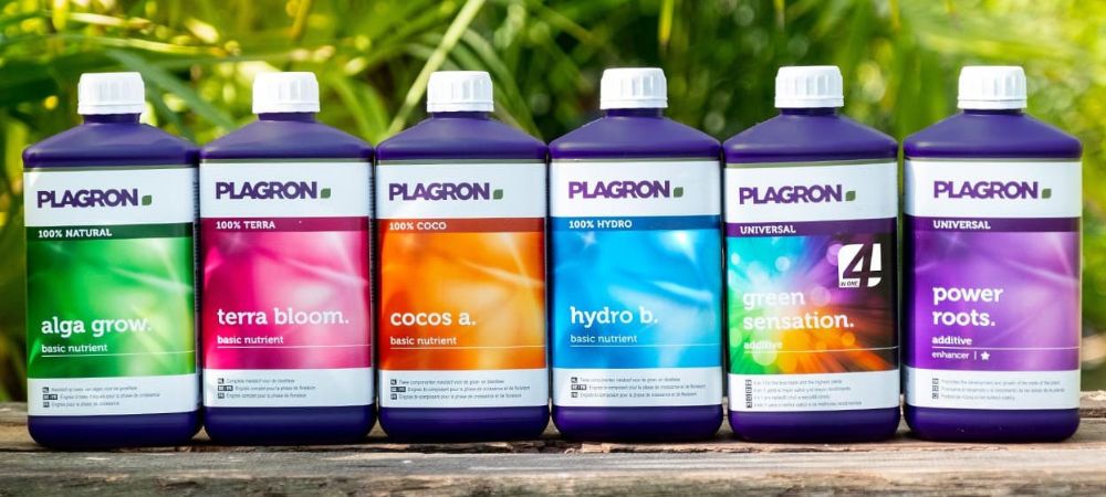 Substrato plagron gamma Substrato plagron